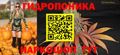 гашиш Кимры