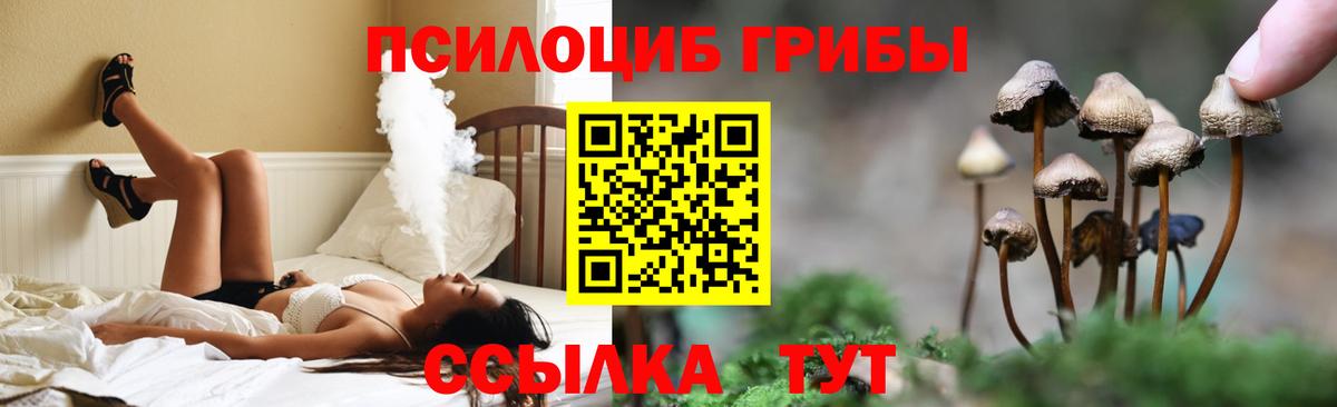 Санкт-Петербург  Псилоцибиновые грибы GOLDEN TEACHER  Вход с VPN  Псилоцибиновые грибы Cubensis 